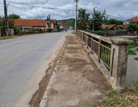 RASCHETARE SI CURATENIE PE UN TRONSON STRADA T. Vladimirescu